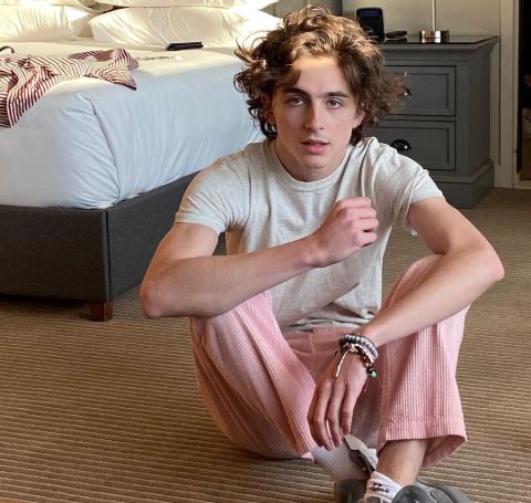 Timothee Chalamet is going to be the co-host and co-chair of 2021 Met Gala.